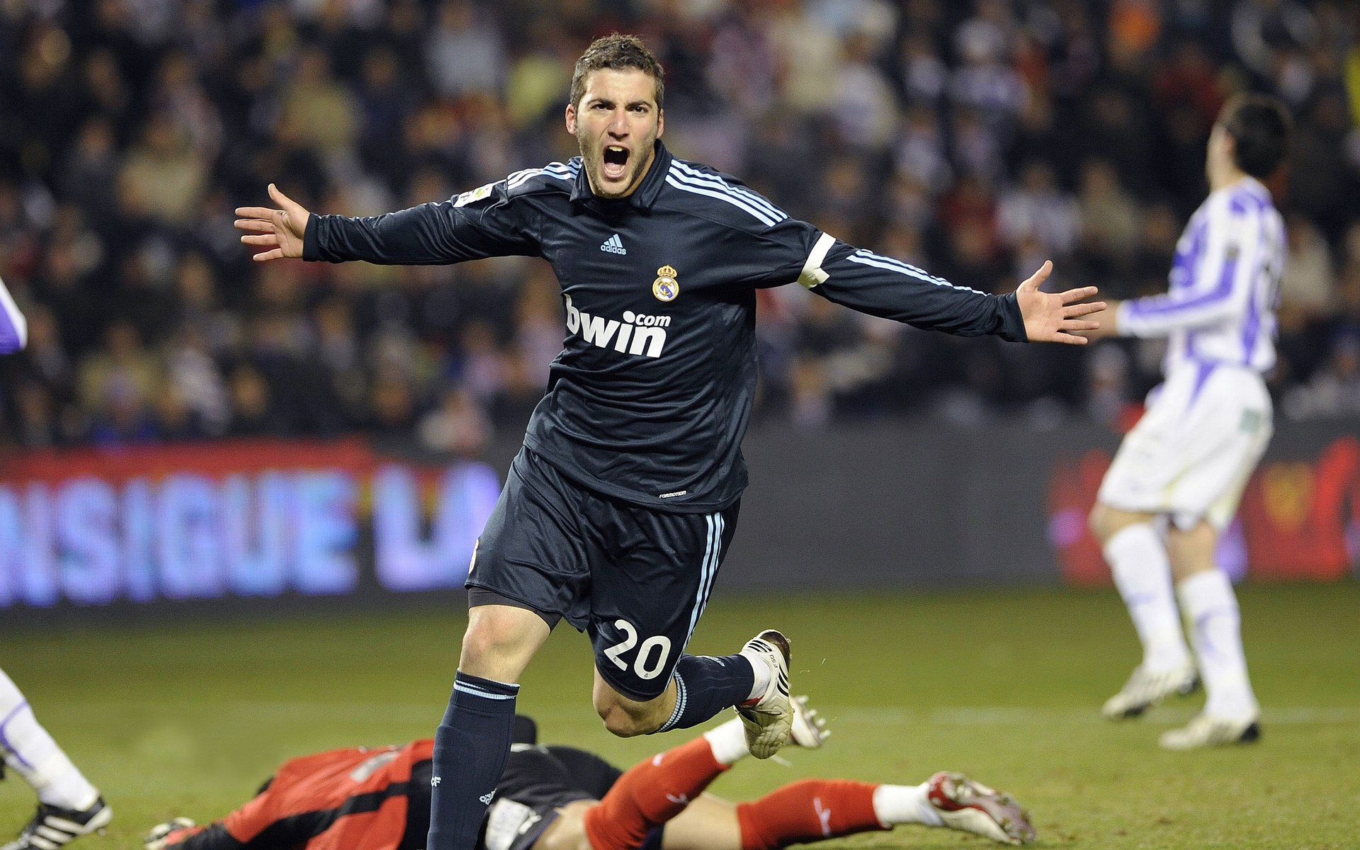 _森林跑：在绿意中迎接运动新风暴_，森林奔跑